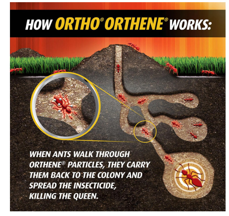 Ortho Orthene Fire Ant Killer (Twin Pack) - New Sealed