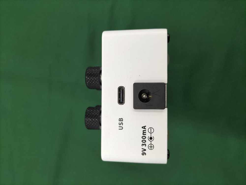 MOOER LOOPER X2 Model