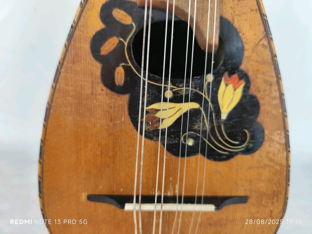 Mandolin Piccolo Giuseppe Cesolari 1910 Rome 曼陀林 만돌린マンドリン