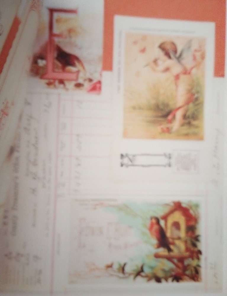 "Alphabets & Ornaments" Paperback Craft Scrapbook Ideas Artwork