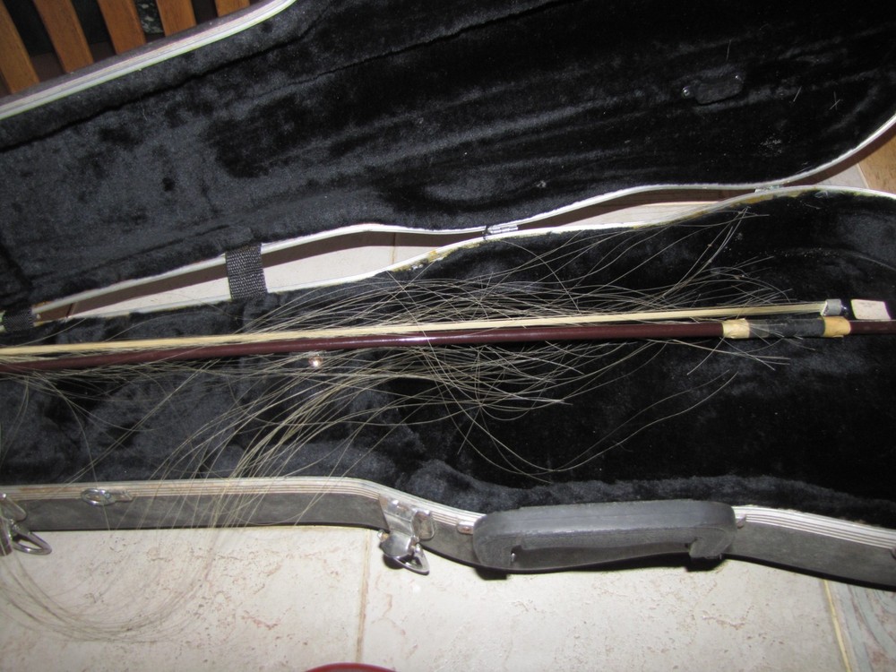 Student Violin with Case and Bow Perfect for Beginners