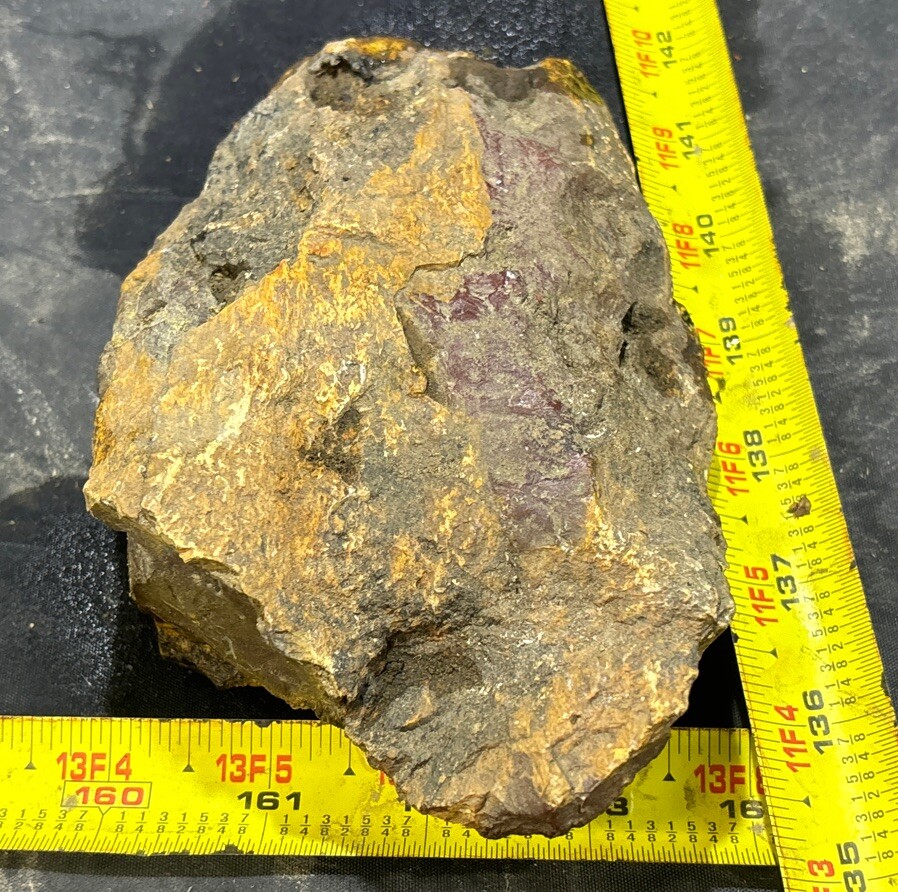 Silver Creek Junction petrified wood