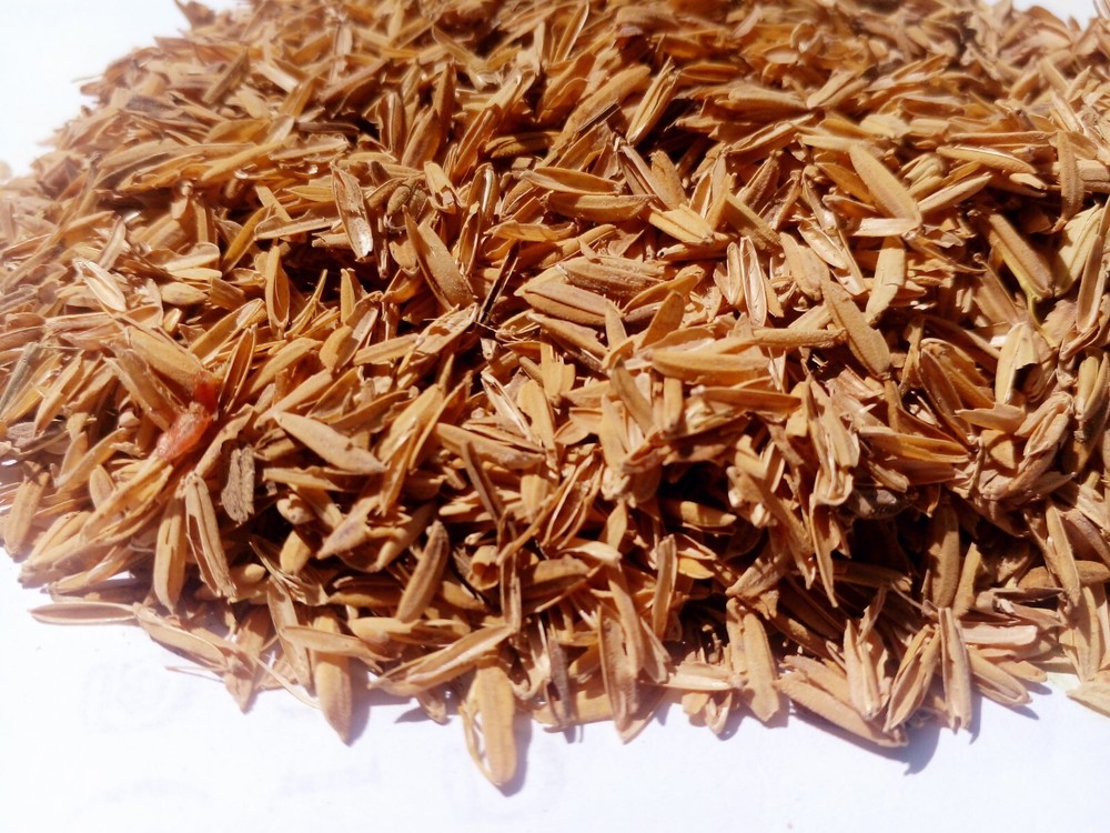 Rice Husk 100% natural compost hydroponic growing media 100g