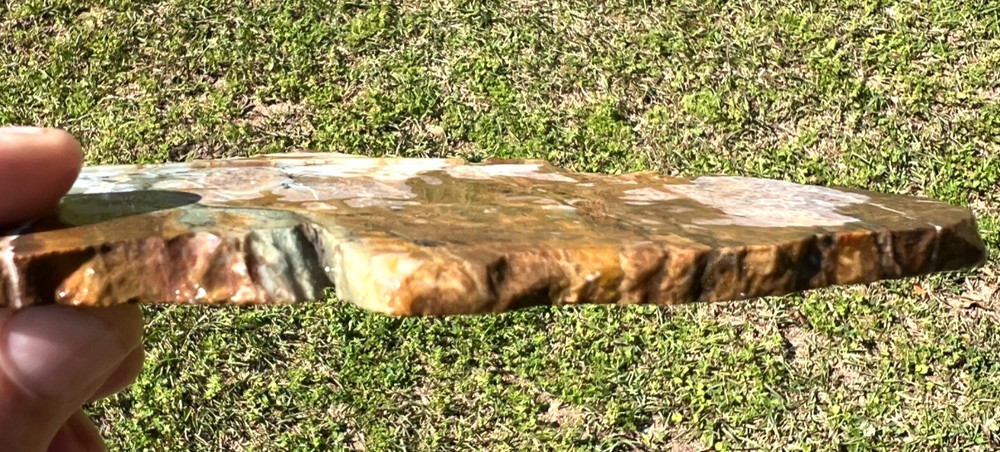 Cool multi-colored Dendritic JaspAgate - ready for cabbing - 147g