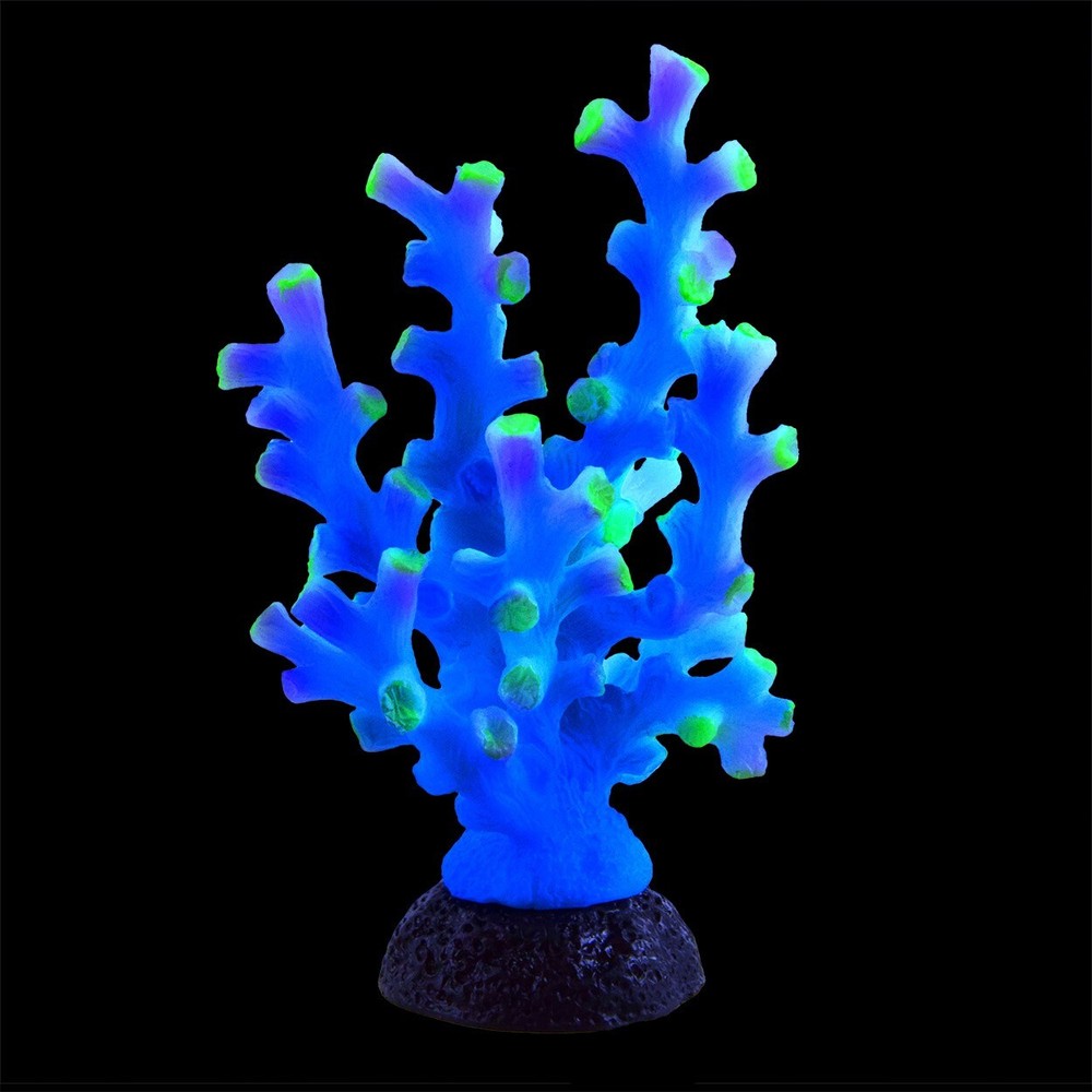 RA Octo Coral - Blue
