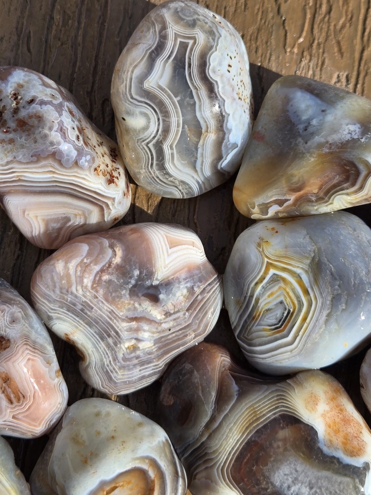 Botswana Agate Selects - WILD ONES - Rough, Natural, Not Polished A+ Grade