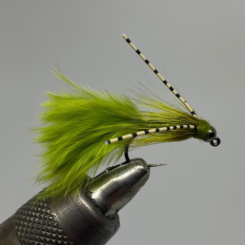 Six (6) - Tungsten Beadhead Jig Bugger - Olive - Streamer