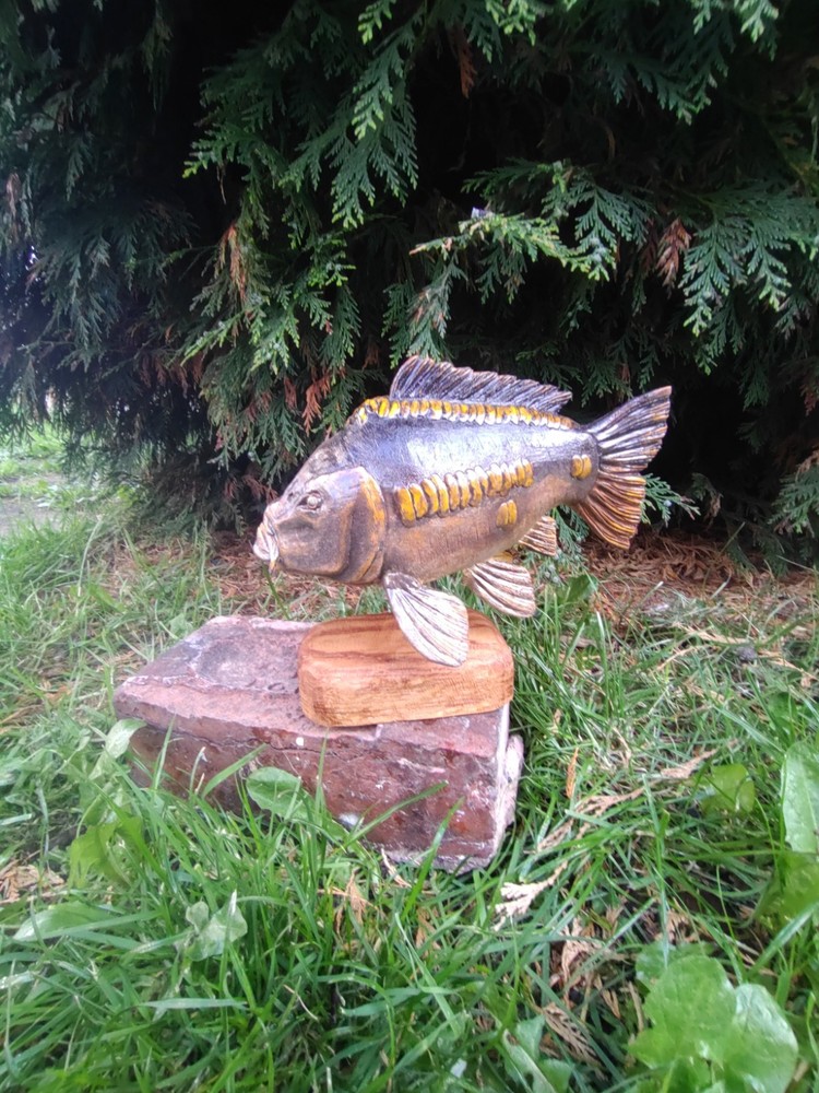 Carp Fishing, linear Carp Display, statue