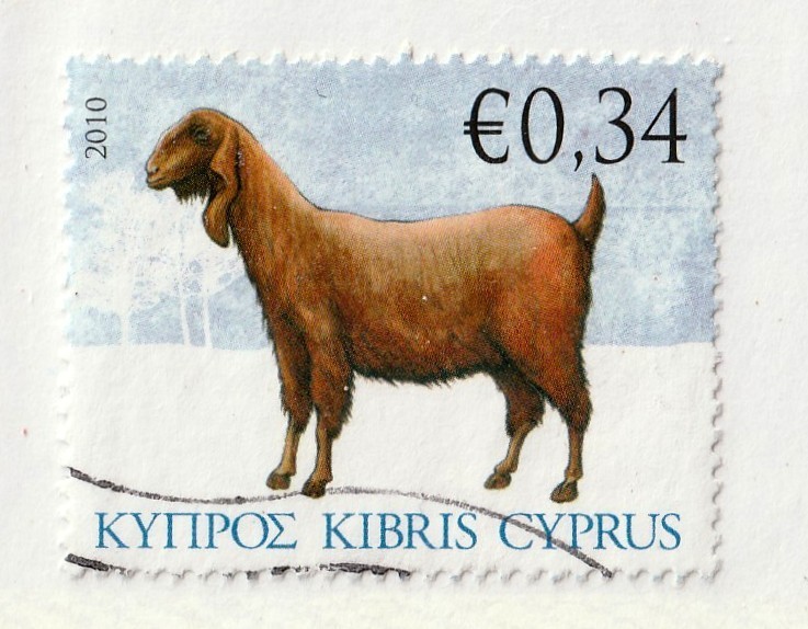 Cyprus        1131        used