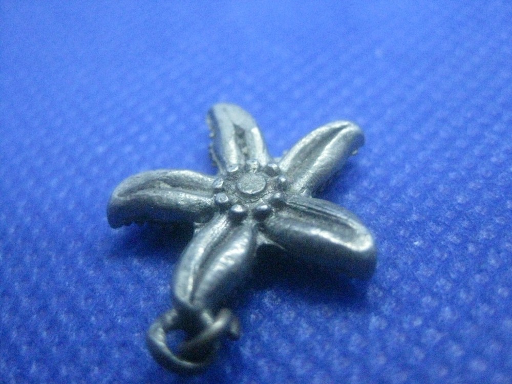 Sterling Silver Starfish Charm