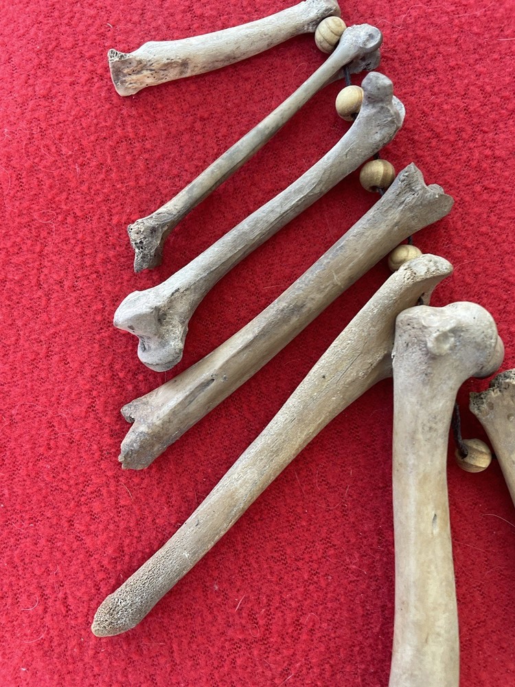 Extraordinary Old Aztec Xoloitzuintle Bone Shaman’s Necklace