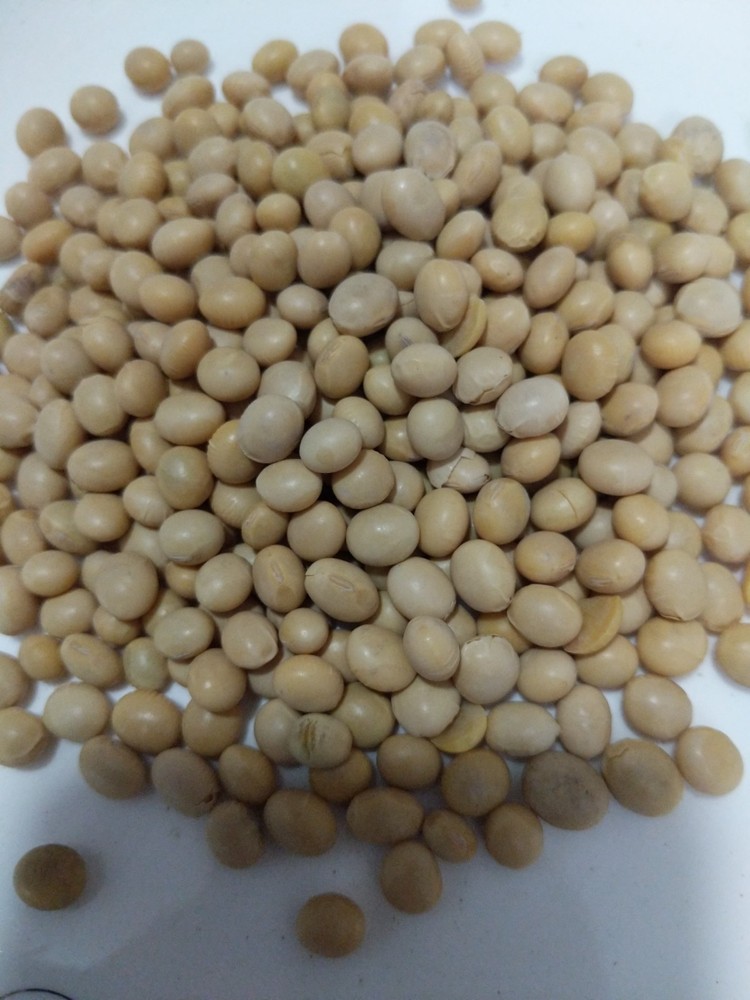 Chinese yellow beans  3 lbs 黄豆