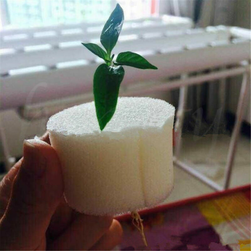 100pcs White Clone Cloning Collar Sponge Insert Hydroponic Root Guard Mesh Pot
