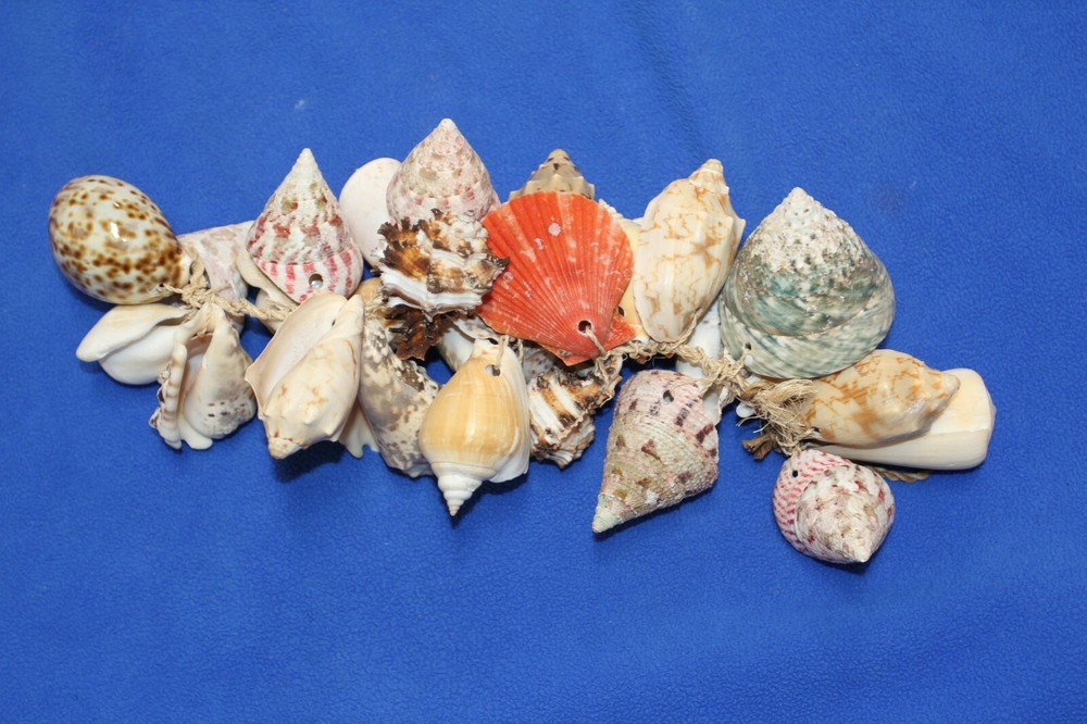 SHELL MOBILE, Beach Home Deck Decor, Hanging Shell Decor, Bath Decor, G-04