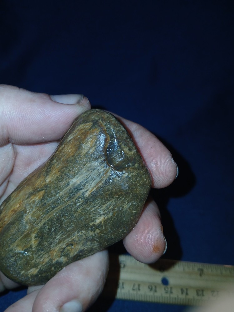 5 oz Agatized Petrified Wood