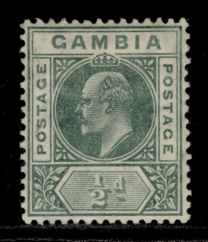 GAMBIA EDVII SG57, ½d green, M MINT.