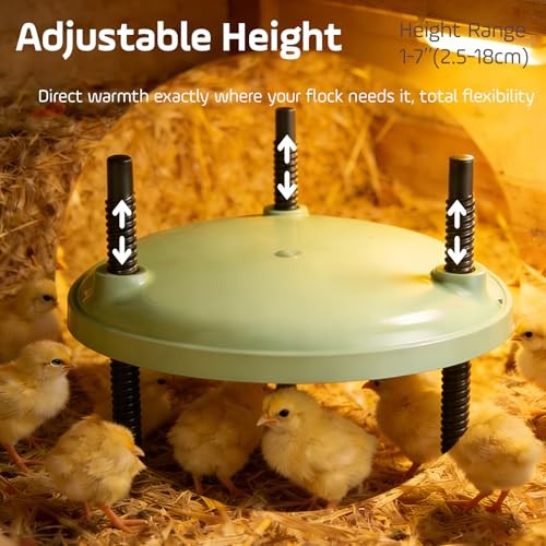 Brooder Heater for Chicks,12inch Metal Heating Plate, Adjustable Height &