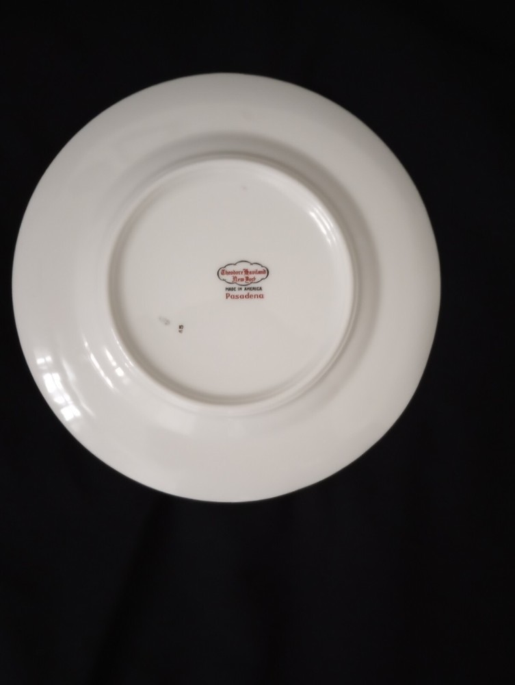 Theodore Haviland NY Pasadena Pattern Five Piece Place Setting