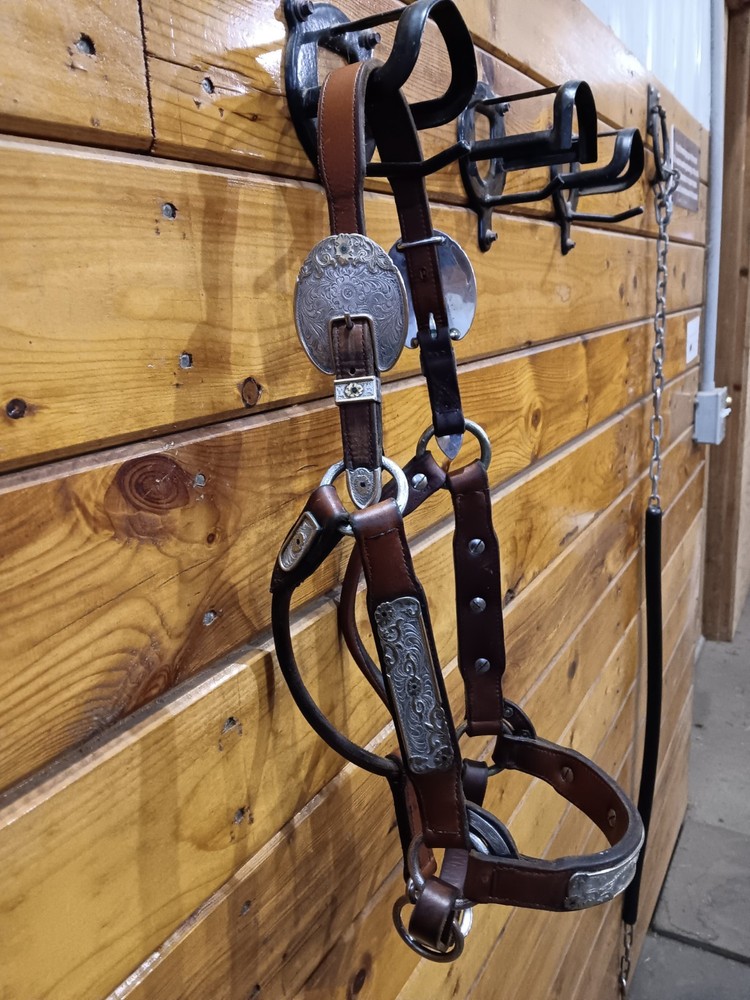 Silver Show halter