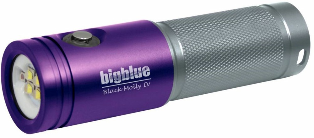 BigBlue PC-AL2000XWP-TC Black Molly IV Video/Dive Light w/Hard Case