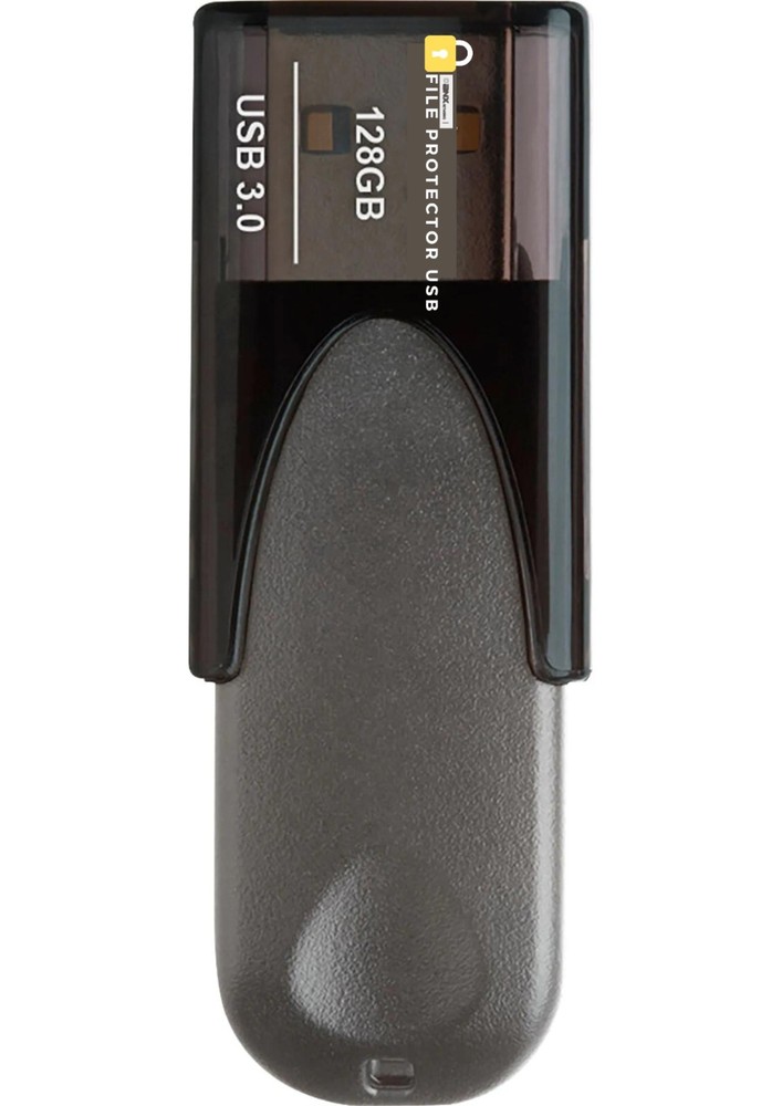 Encrypted Password Protected USB drive with Data Protection & Secure access