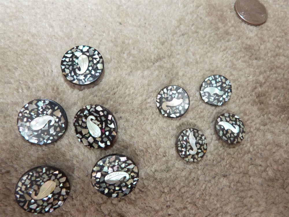 VTG matching composition abalone flake confetti leaf button lot diff sizes #101