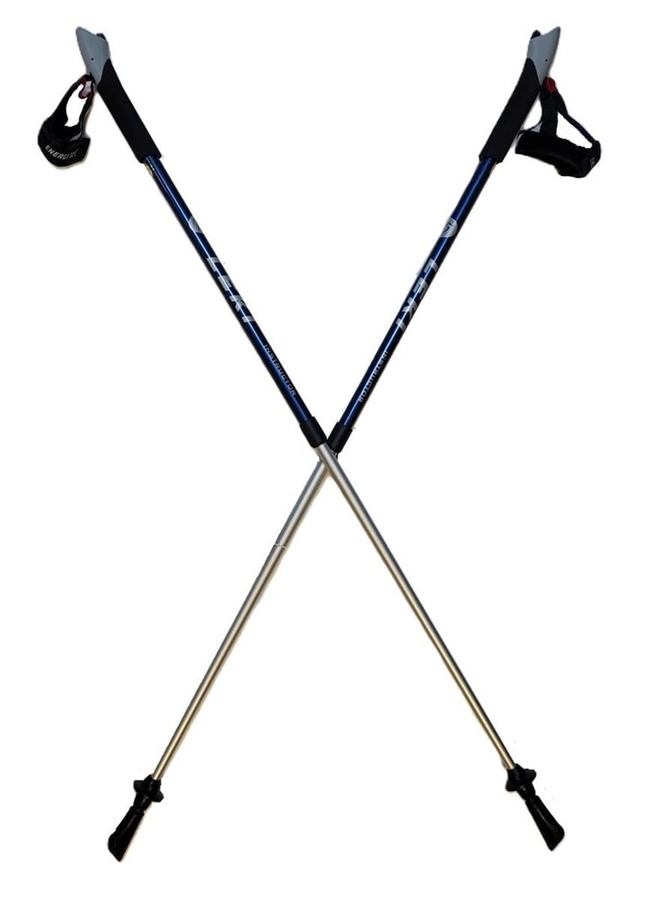 LEKI Nordic Walking Instructor Fully Adjustable Pole Dark Blue