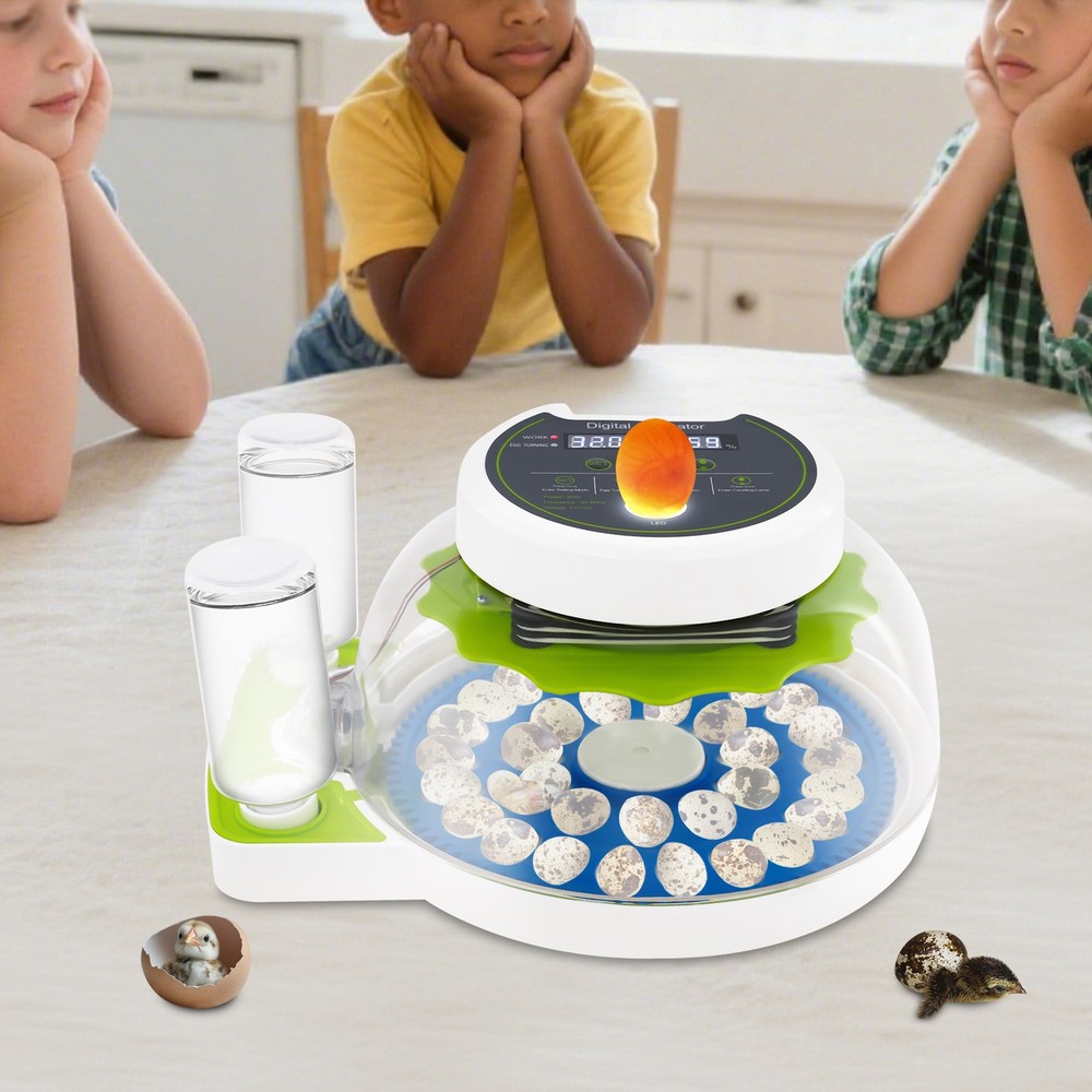 33 Eggs Quail Egg Incubator Modern Small Quail Brooder Poultry Quail Incubator