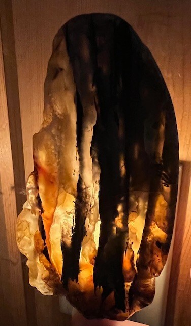 Extra Large Agatized Petrified Wood Night Light, Yellowstone River stone