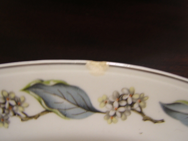 Homer Laughlin Eggshell Nautilus, Leaf & Tiny Flowers 59 Pieces Dinnerware
