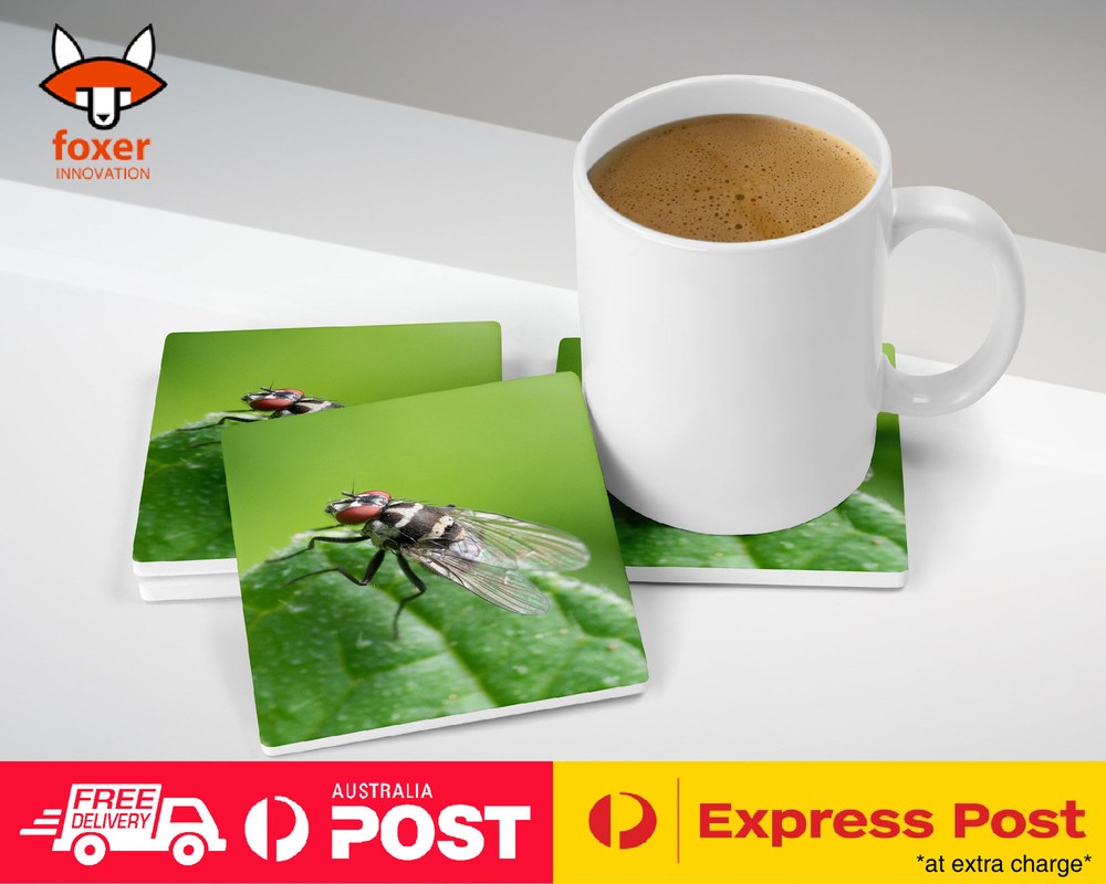 COASTER COFFEE DRINKING MAT|FLY INSECT BUGS BUZZ #2