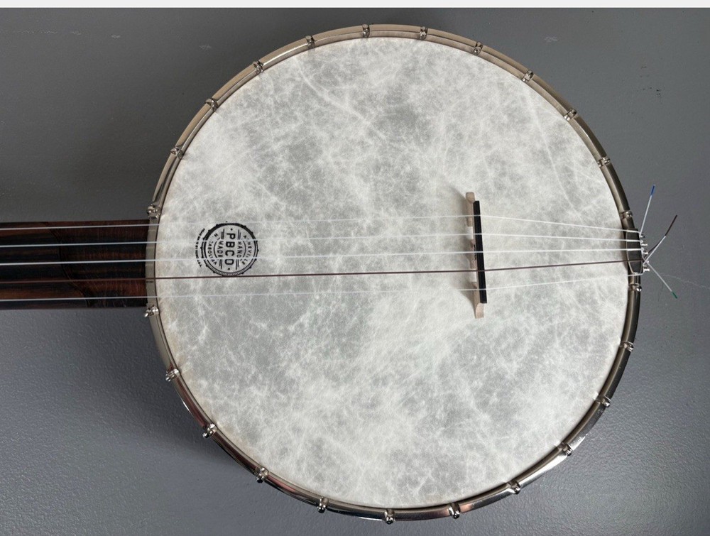5-String Open-Back Banjo with Case in Excellent Condition, Nylon Strings