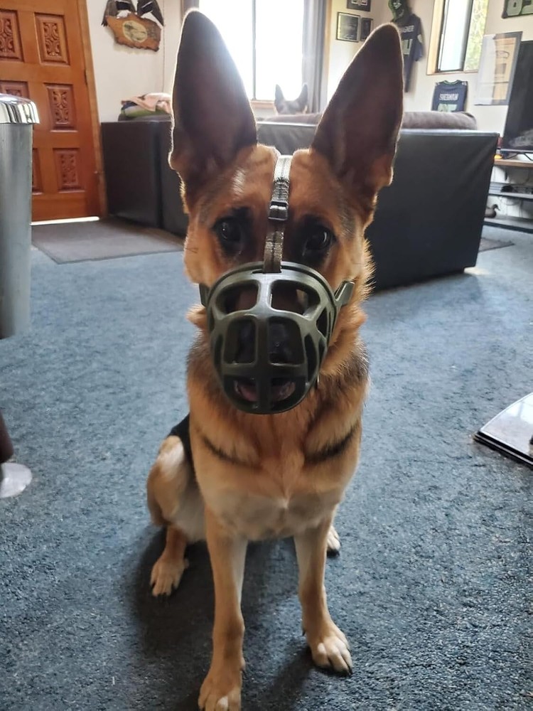 Humane X-Large Dog Muzzle: Soft Rubber with Adjustable Fit & Treat Access
