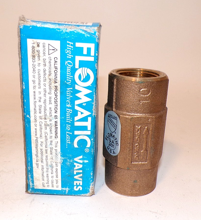 Flomatic 1" - 100E Enviro Check #4201E Check Valve - NOS