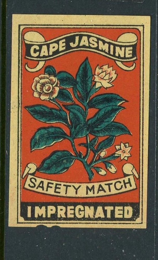 Cape Jasmine Impregnated Safety Matches Match Box Label