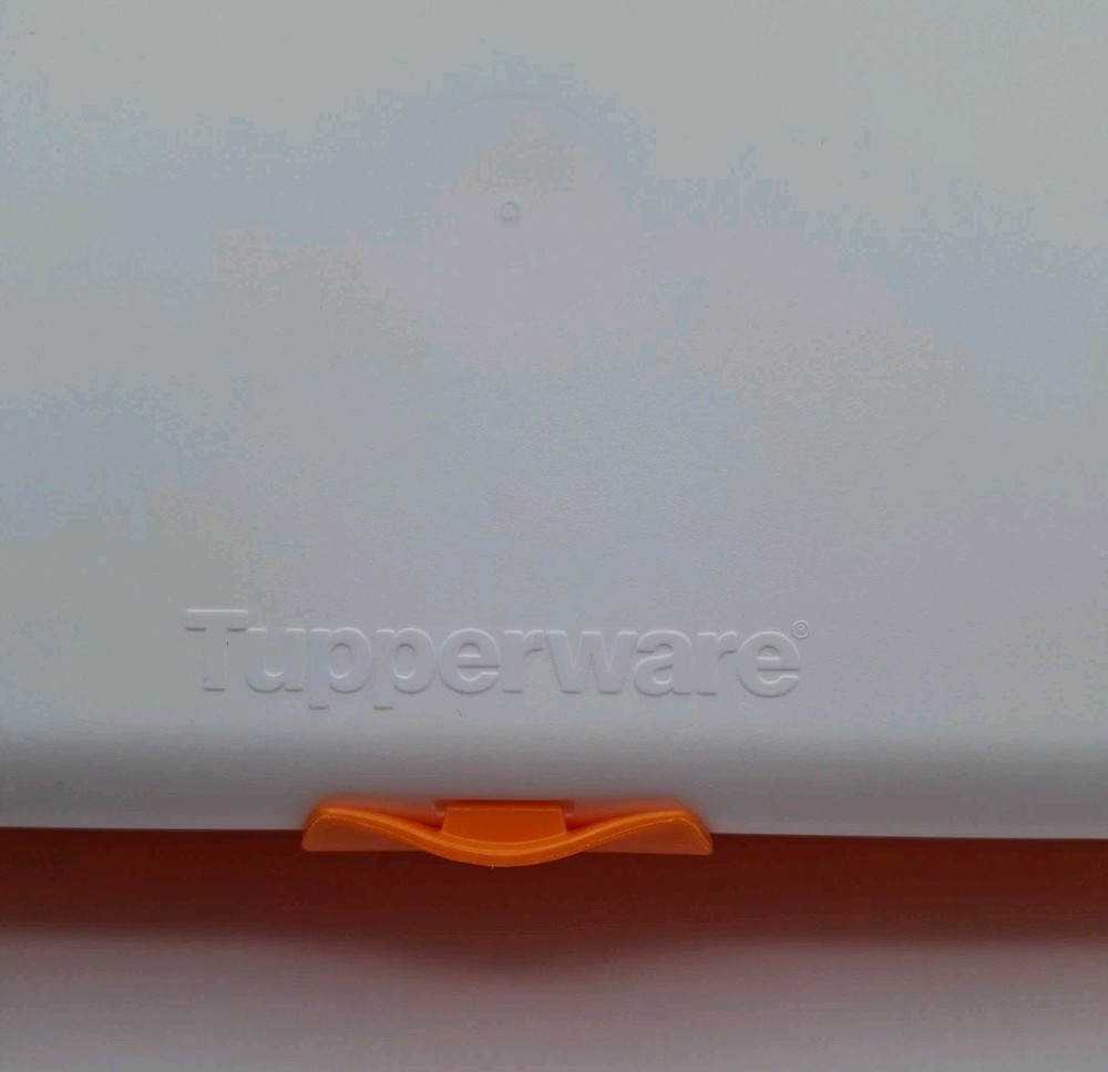 Tupperware Lunch 'n Things Divided Container
