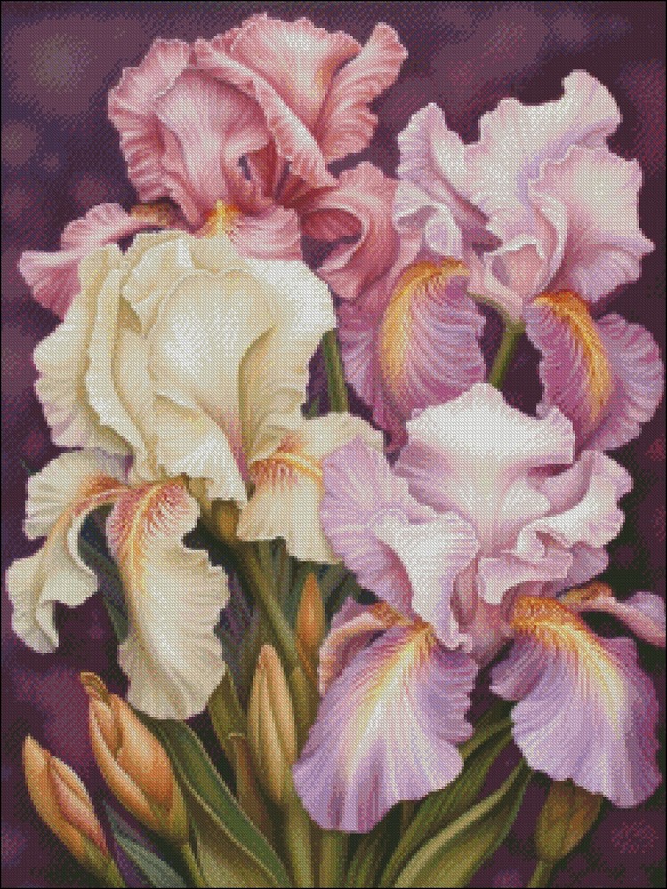 Irises 5 - DIY Chart Counted Cross Stitch Patterns Needlework DMC Color