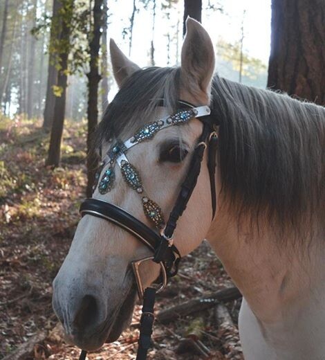 D Ring Horse Bit Snaffle Bit with Copper Rollers Bit Stainless Steel