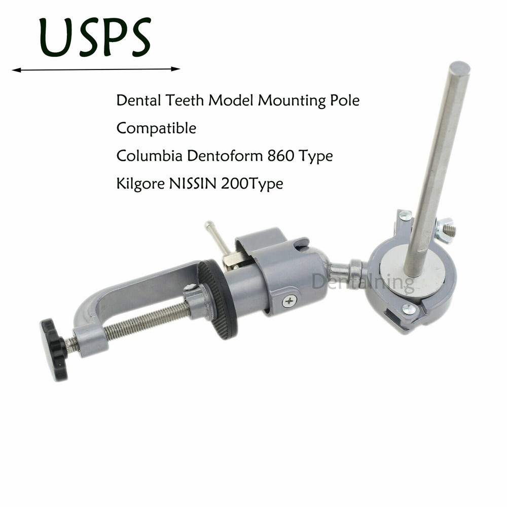 US Columbia Dentoform 860 Dental Study Model 32 Replace Teeth Mounting Pole