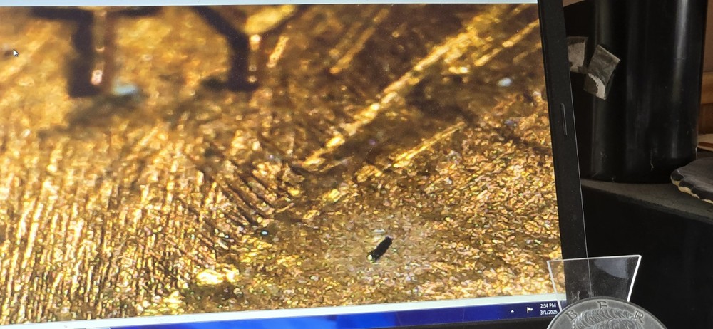 1983 Lincoln Cent. Check Out Pics! Nice Luster Too!