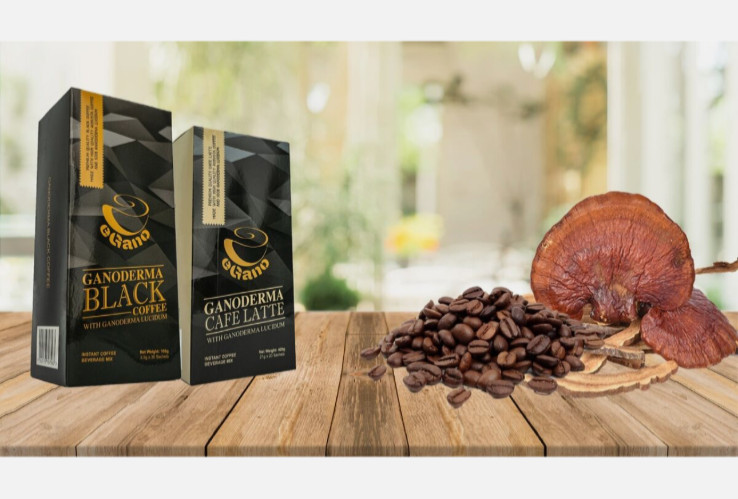 4 Boxes of eGano Premium Ganoderma Black Coffee w/ Ganoderma 30sct/box ekspress