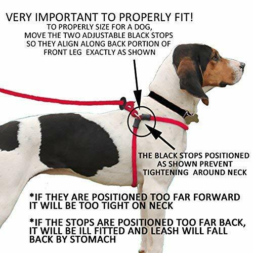 Harness Lead, Escape Resistant Leash, Reduces Pull, Dog Harness
