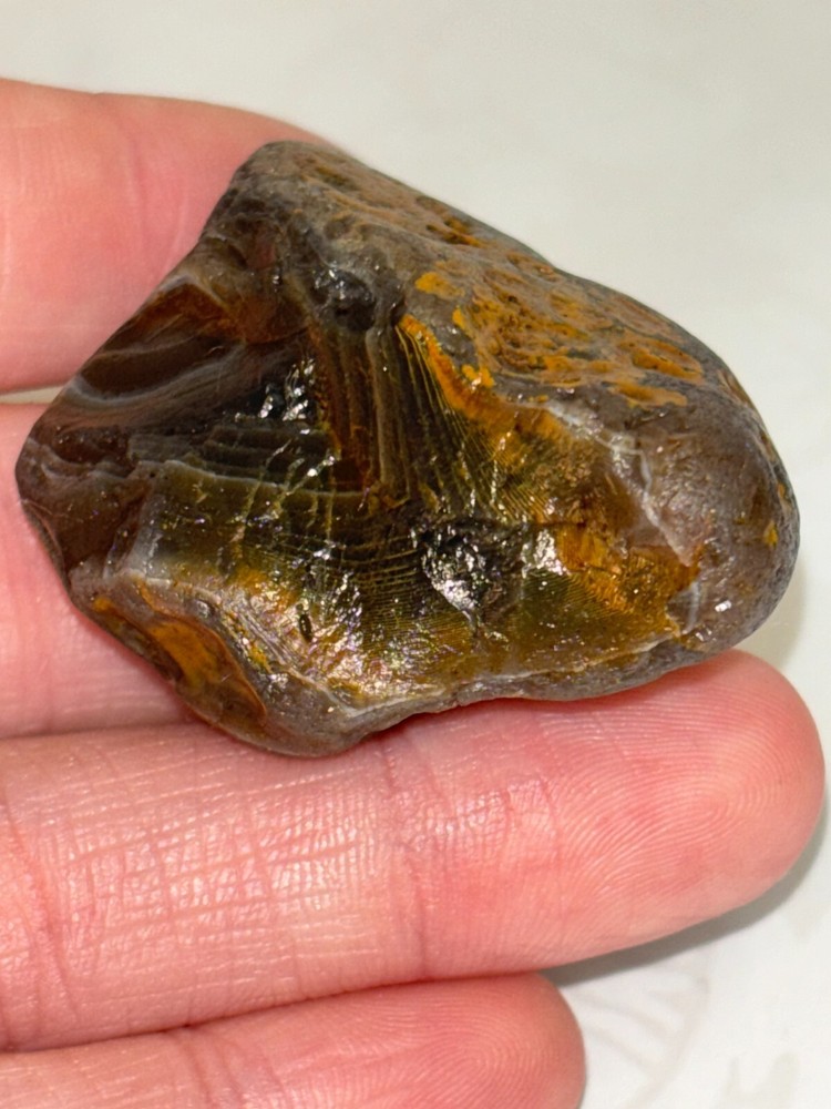 1.2 Ounce agate with Limonite husk