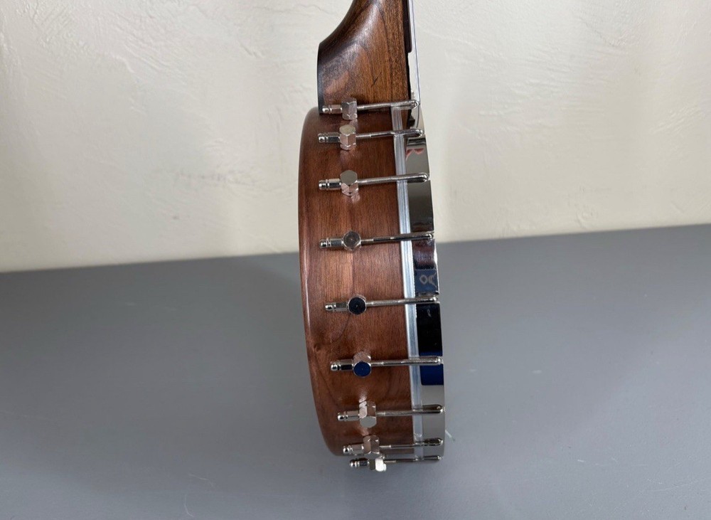 5-String Open-Back Banjo with Case in Excellent Condition, Nylon Strings