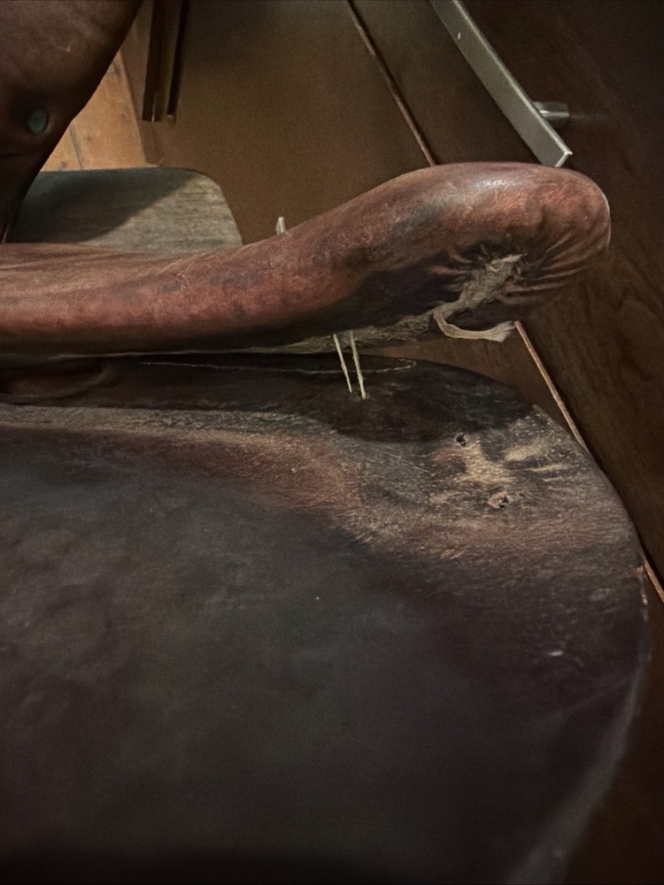 Devoucoux Biarritz Arcade Normale 16.5” 2A