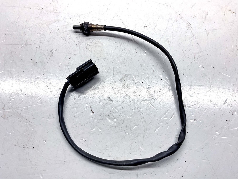 2021 Harley-Davidson Iron 1200 XL1200NS Lambda Sensor