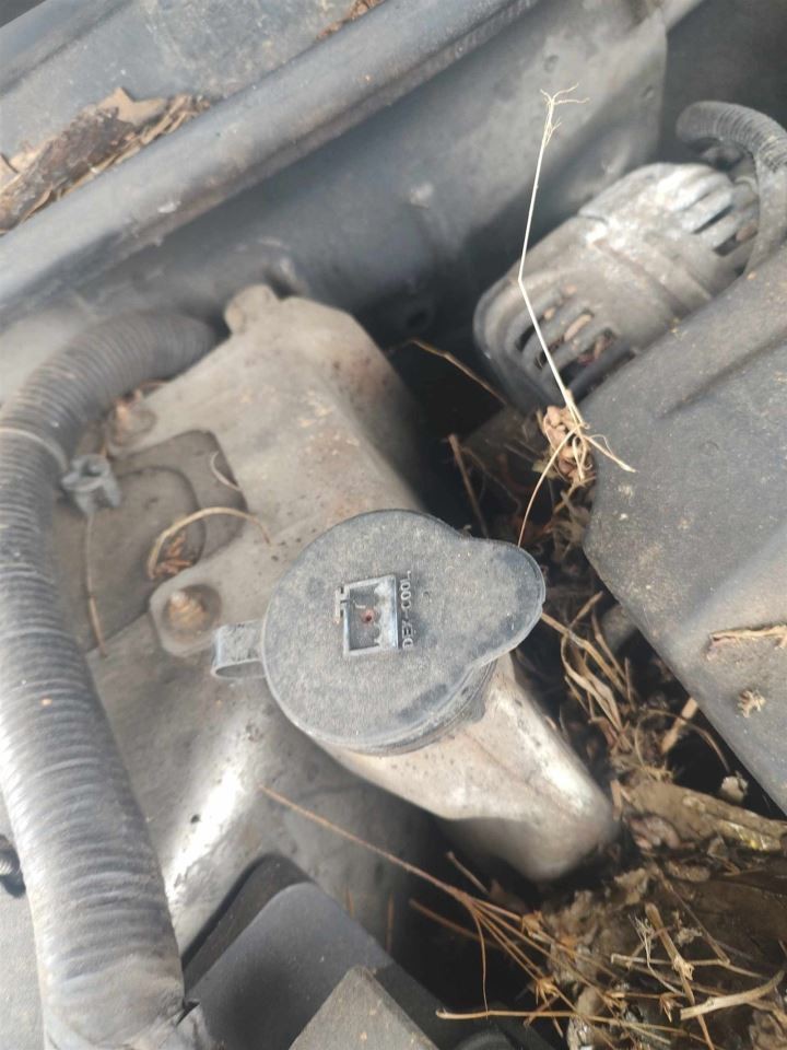 IMPALA 2011 Fuse Box Cabin 6493