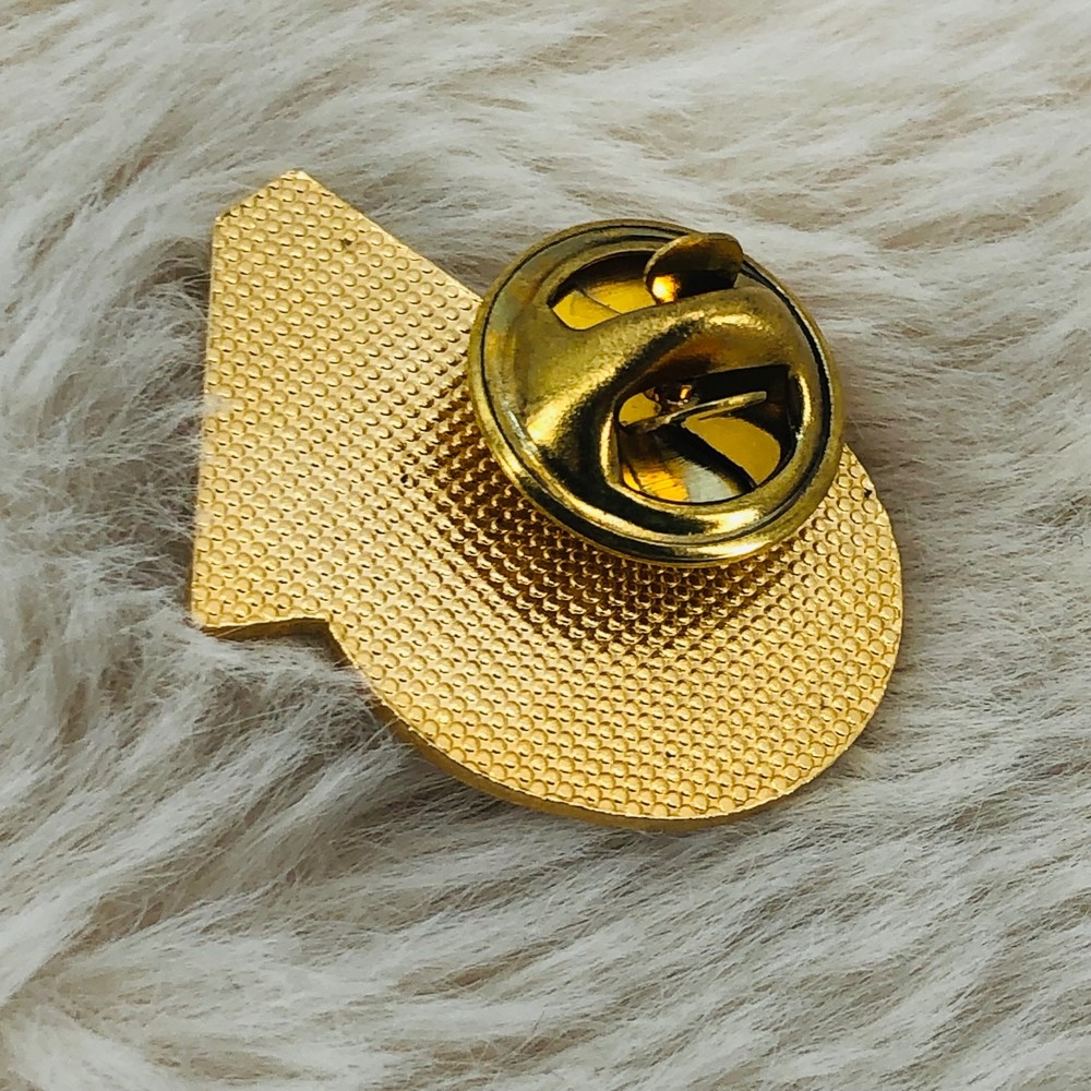 Regional Information Sharing Systems RISS Police Database Lapel Pin