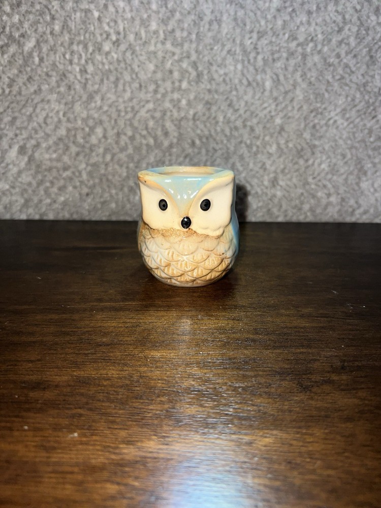 Mini Owl Succulent or Houseplant Planter Ceramic Stoneware Light Blue