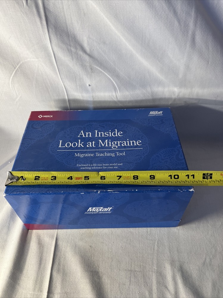 3-D Maxalt Merck An Inside Look At Migraine Teaching Tool